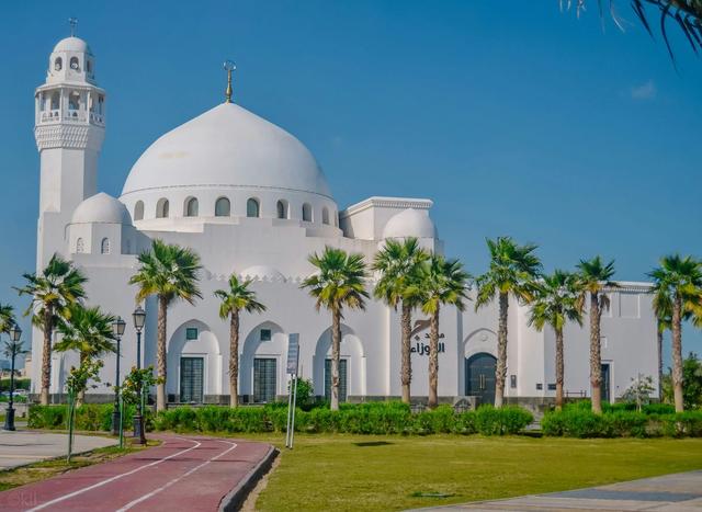 Best Dubai Group Tours in 2026 – Luxury, Adventure & Unforgettable Experiences
