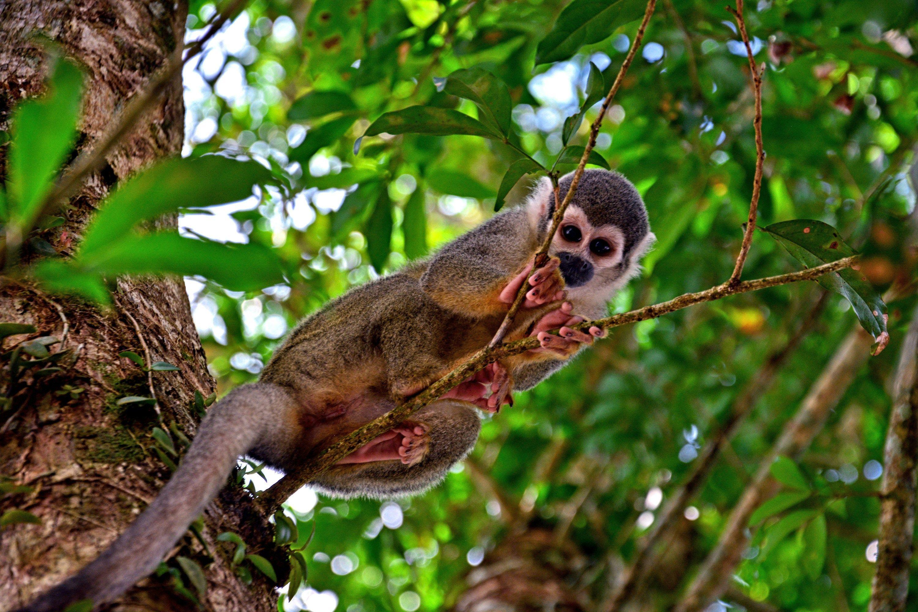 Experience Close Wildlife Encounters