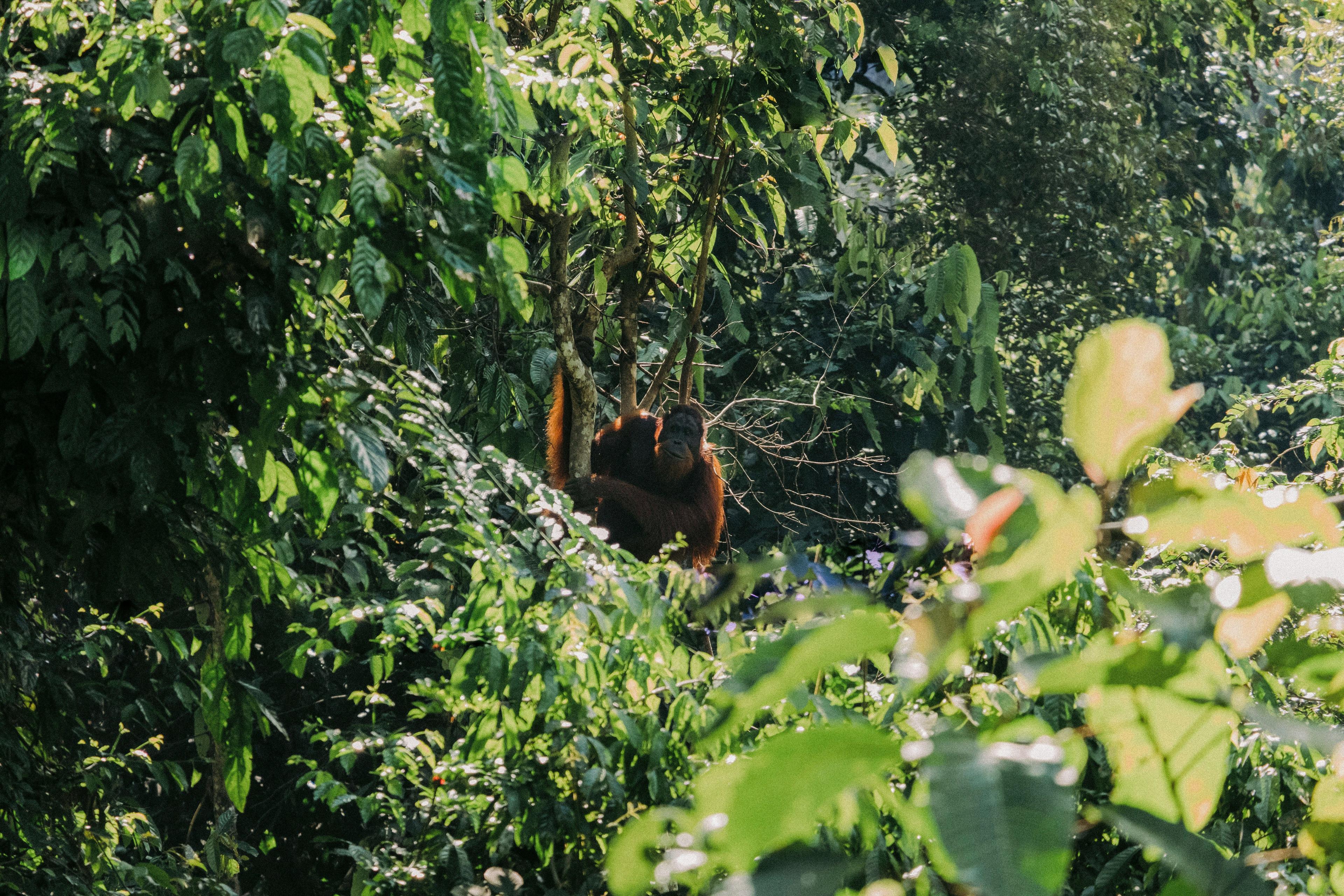 Participate in Meaningful Conservation Experiences