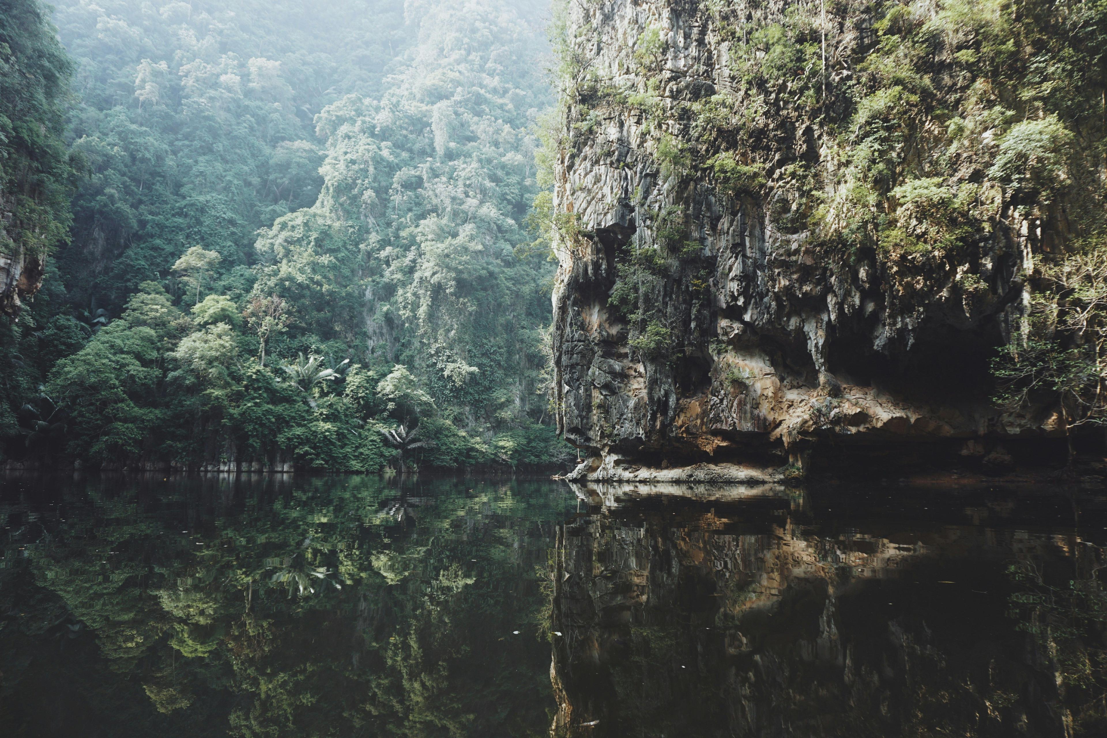Explore One of the World’s Oldest Rainforests