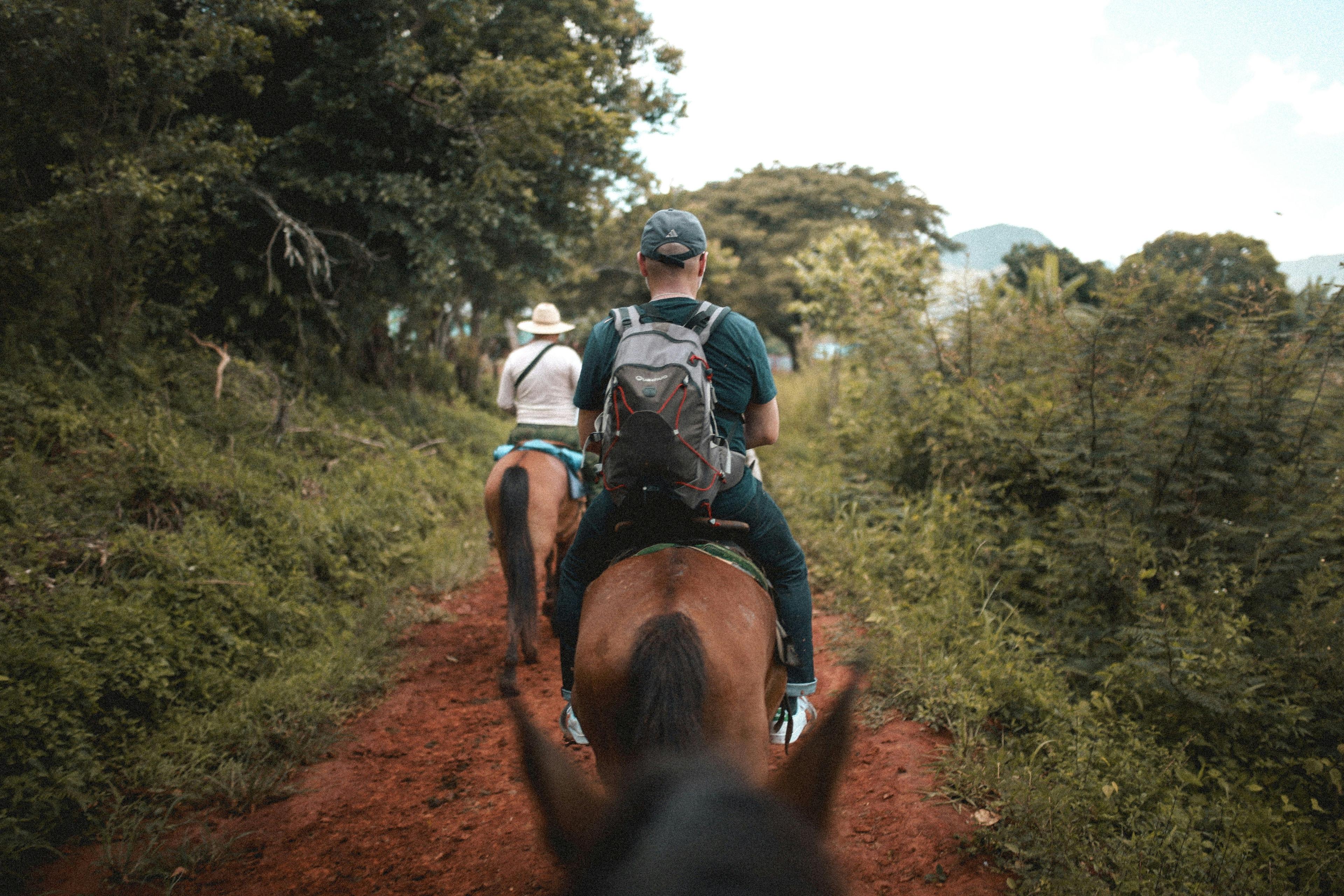 Horseback Riding Adventure