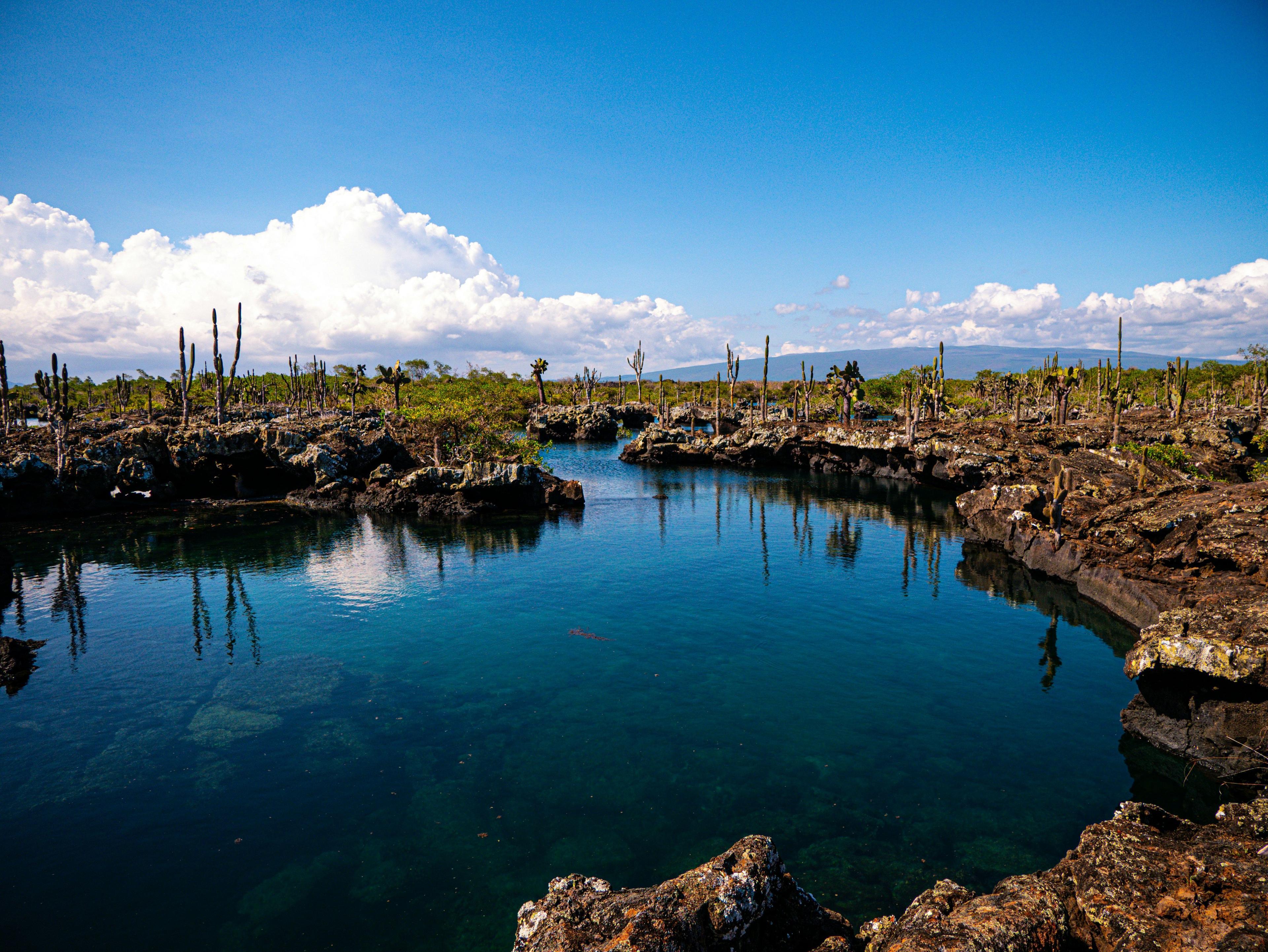 Isabela Island Volcano & Lagoons