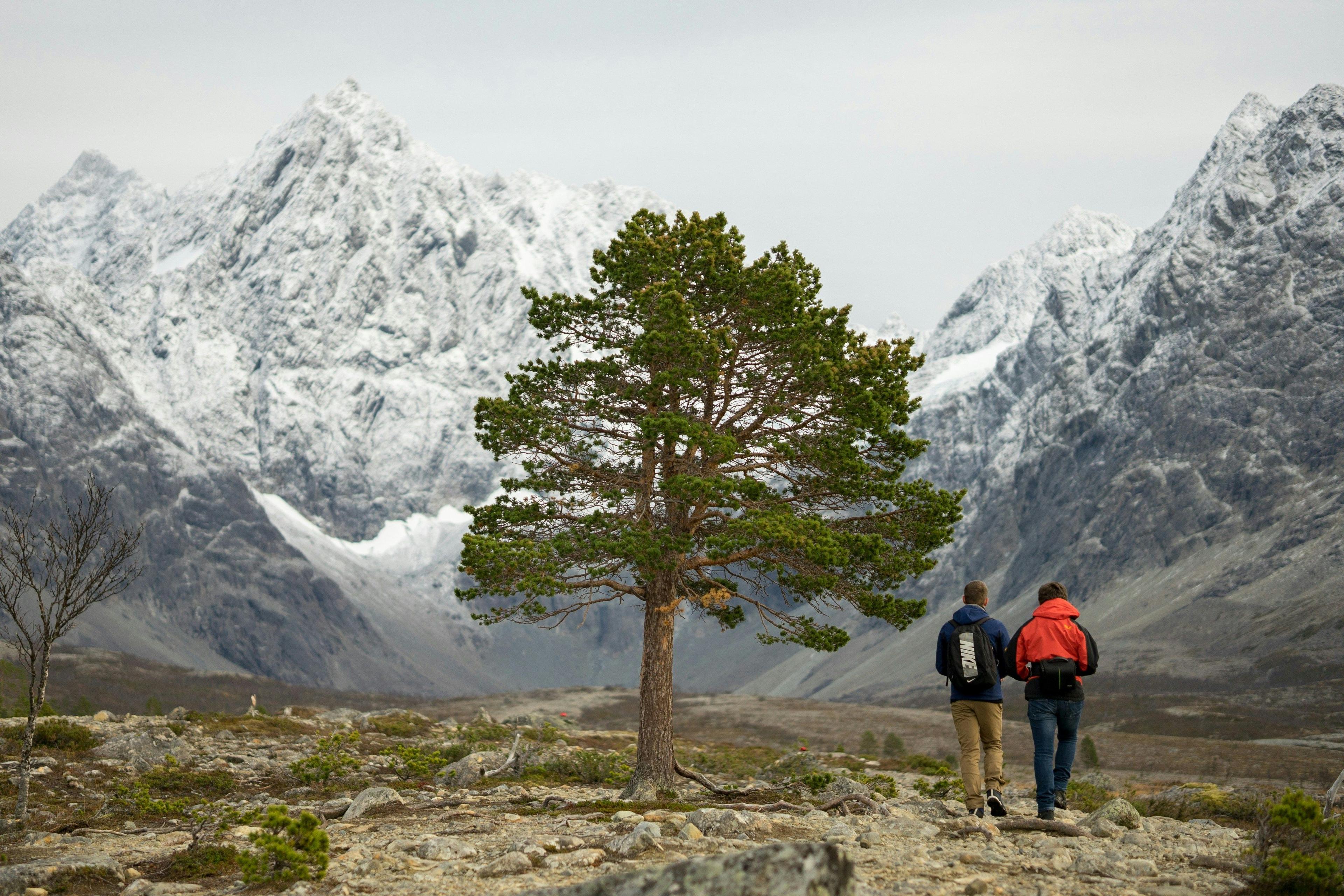 Scenic Journey to Lyngen Alps