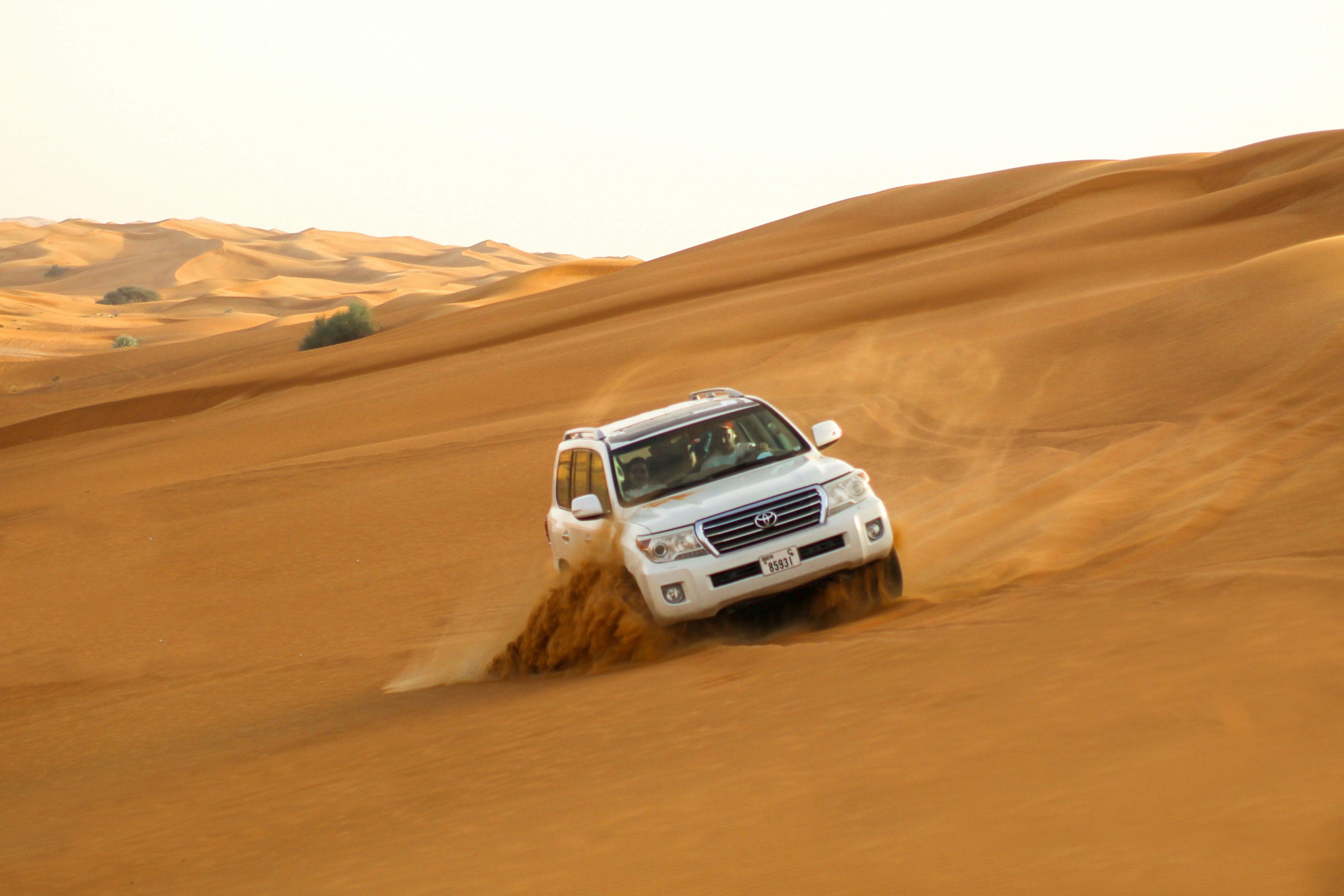 Desert Adventure & Cultural Encounters