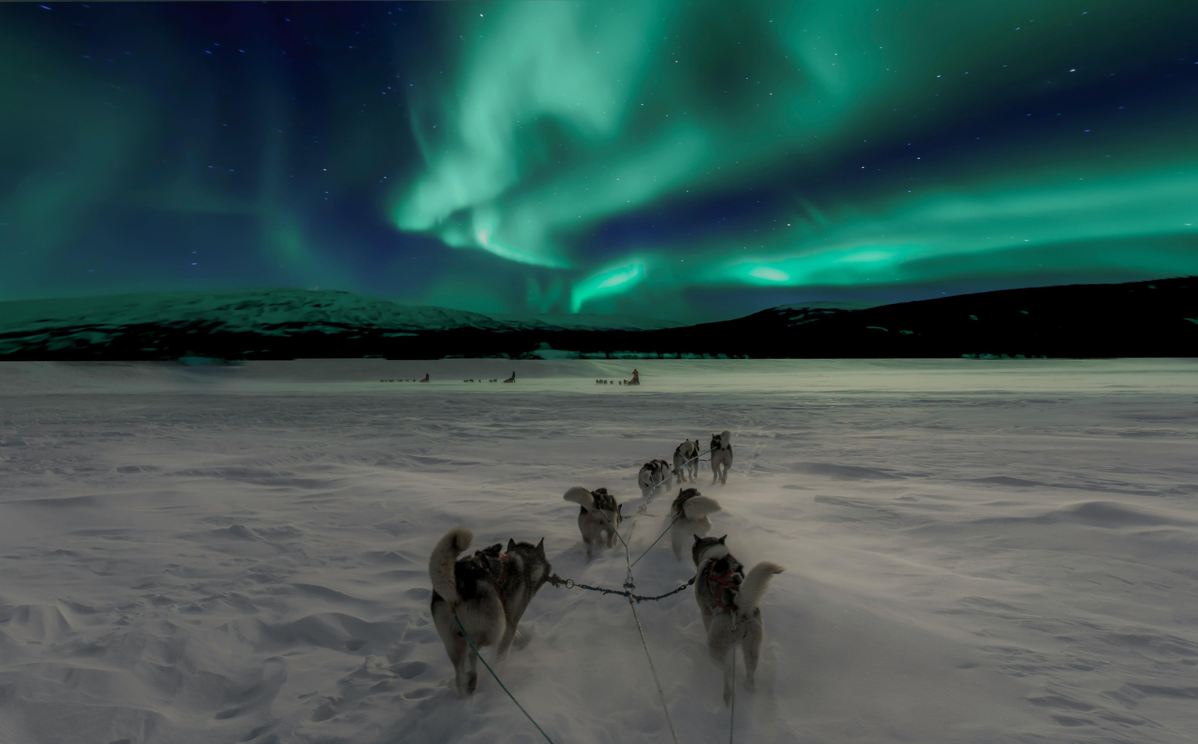 Tromsø City Tour & Northern Lights Chase