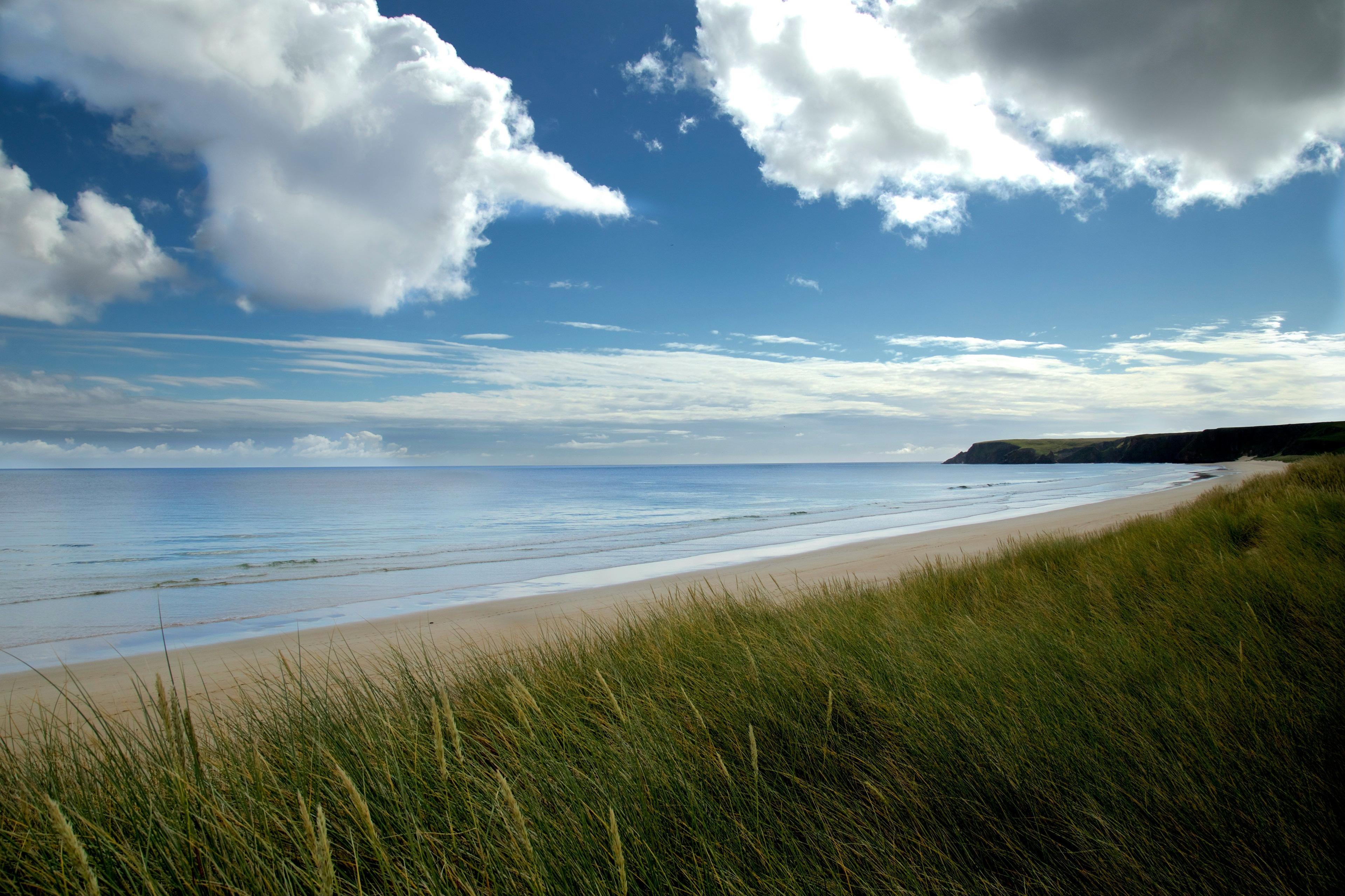 Wild Beach Camping