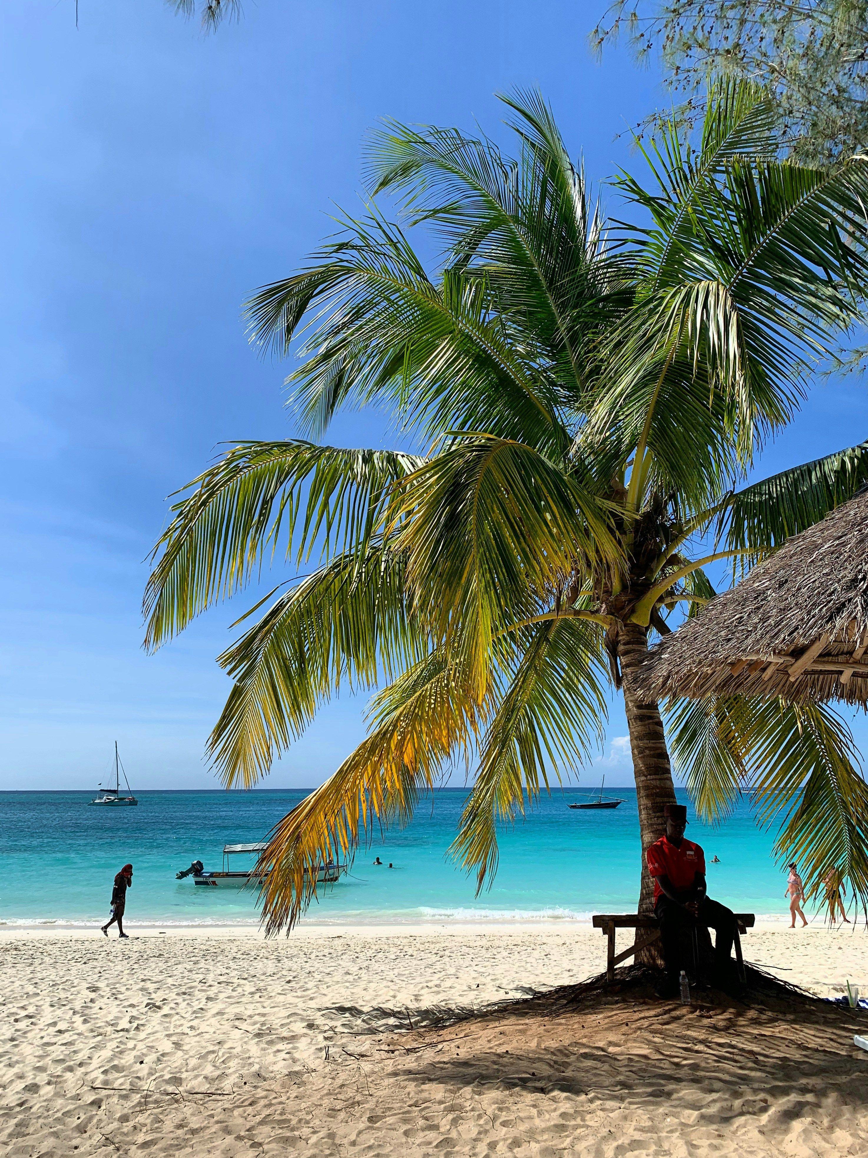 Arrival in Tahiti – Transfer to Moorea 1