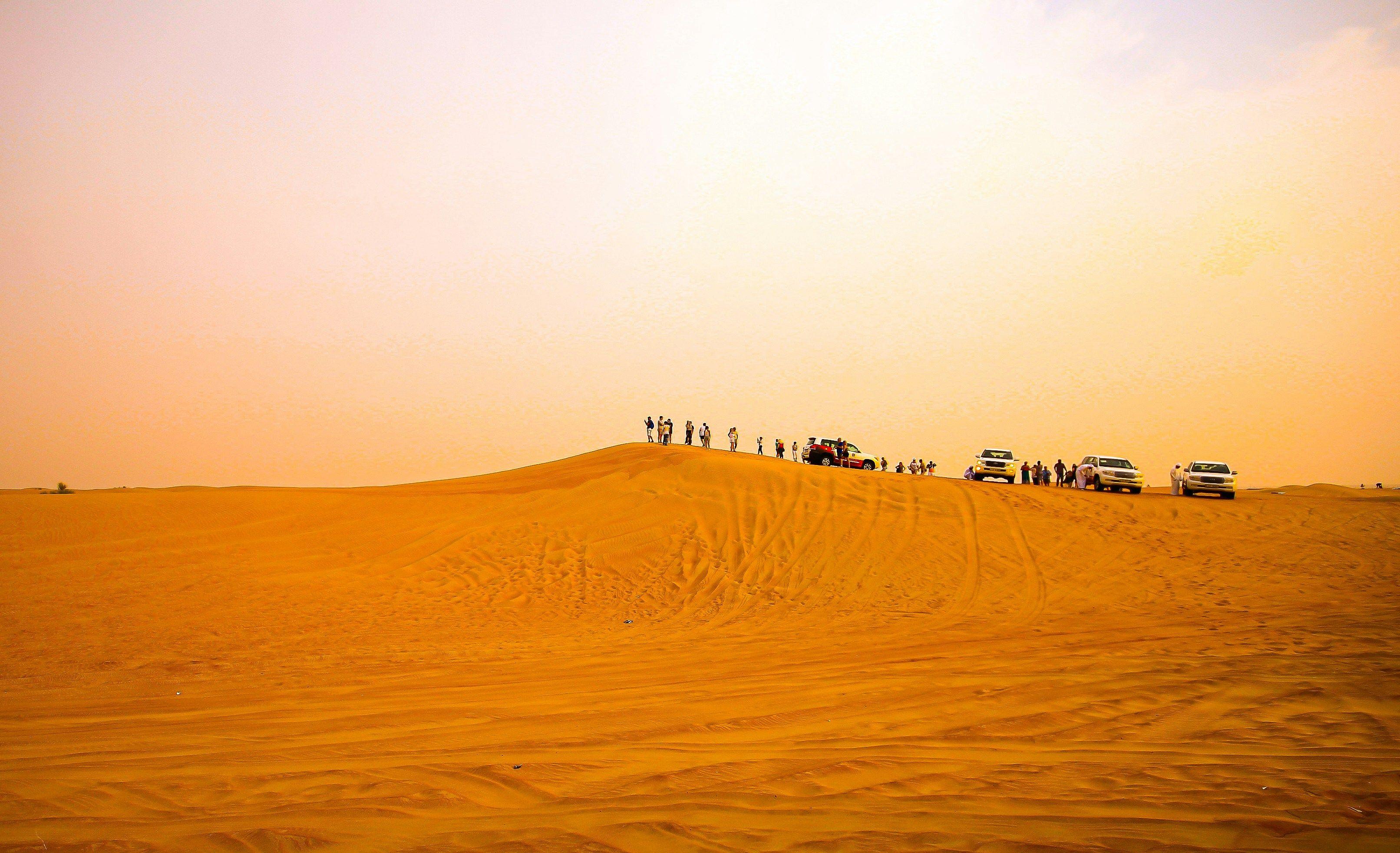 Premium Desert Safari with Luxury BBQ 2
