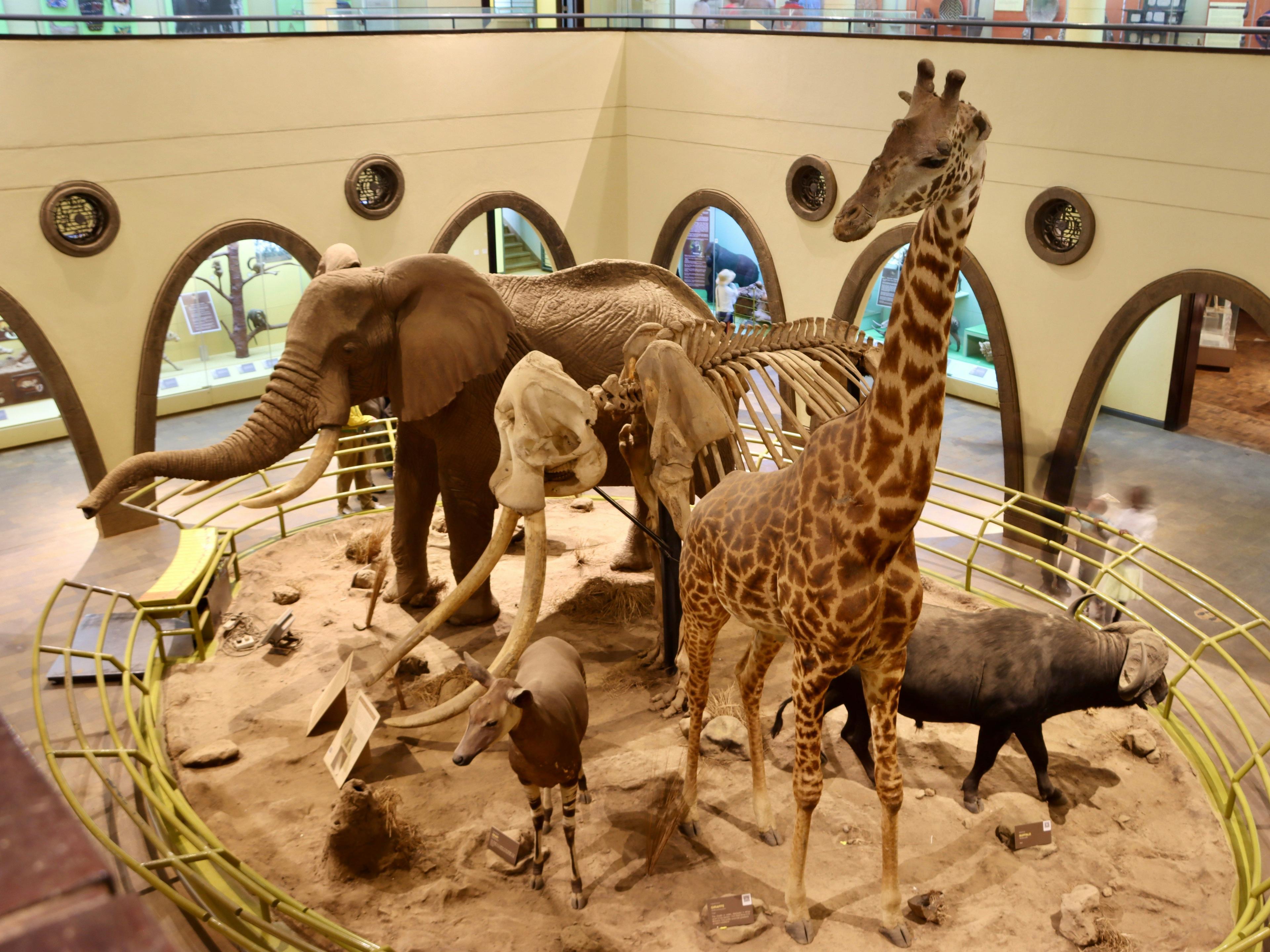 Nairobi: Culture, Crafts & Kenyan Cuisine