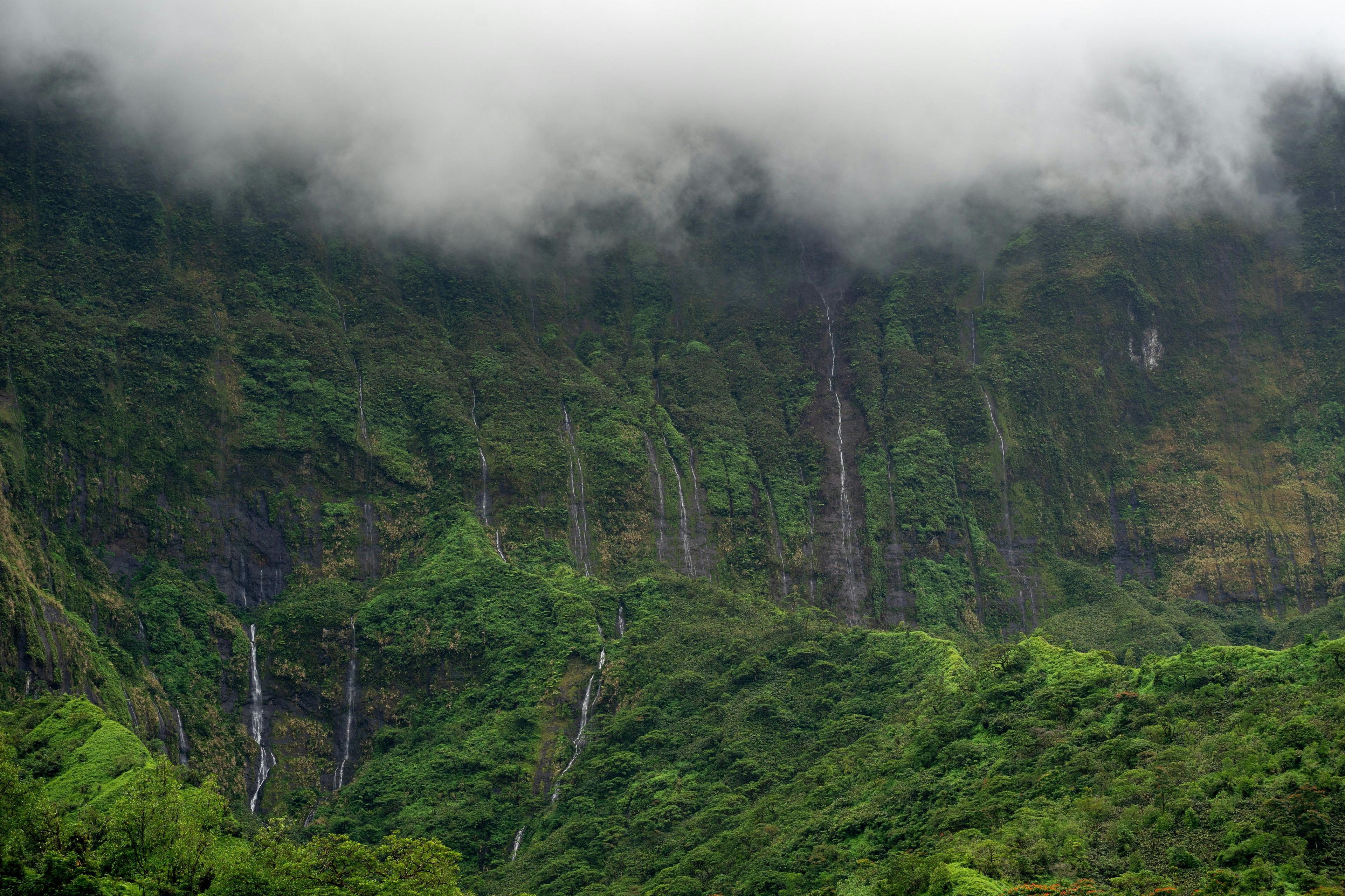 Surf Day One + Moorea Island Tour 2