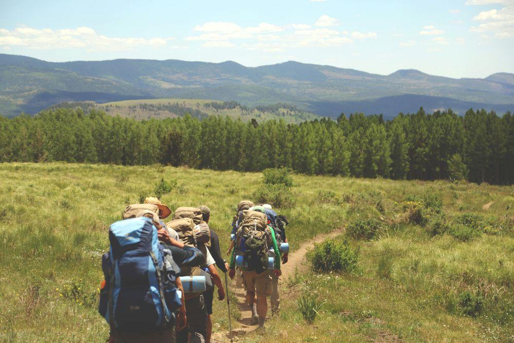 Why More Travellers Are Choosing Small Group Tours Over Traditional Vacations in 2026