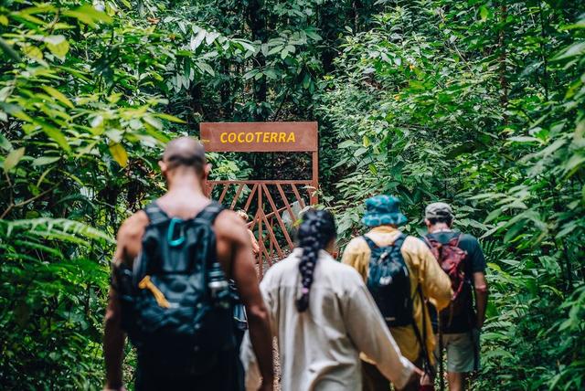Best Time to Visit Costa Rica: A Complete Month-by-Month Guide for 2026