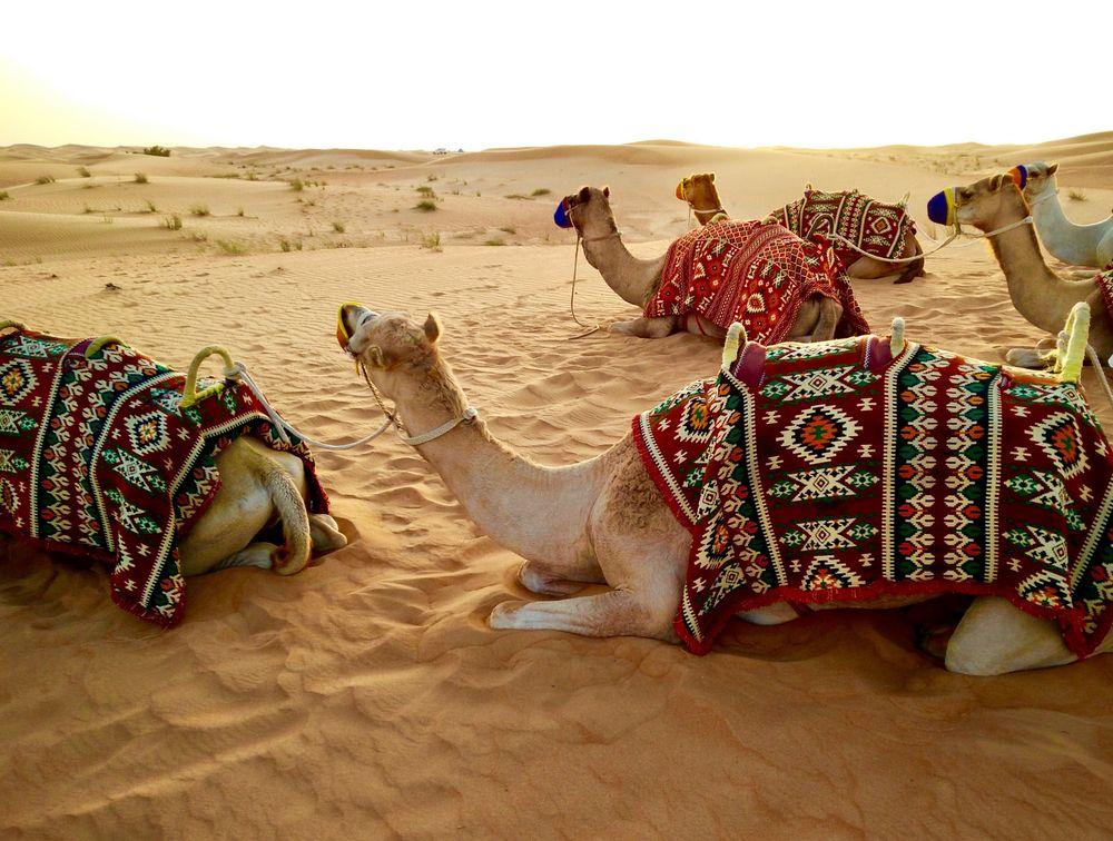 A First-Timer's Guide to Visiting Dubai in 2026