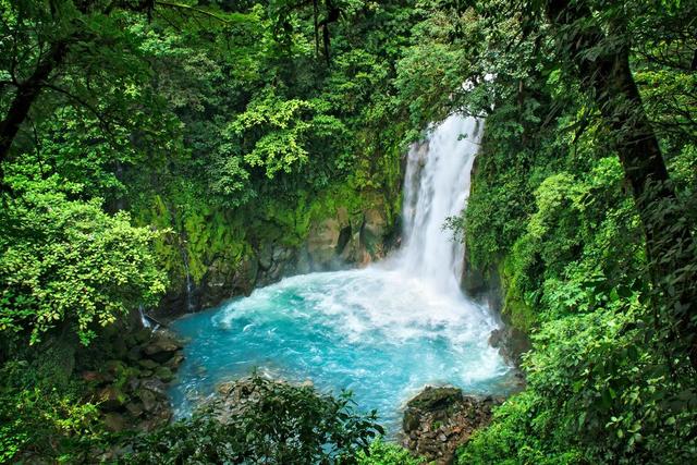 Foundations of Wellness in Costa Rica: A Thoughtful Retreat for Mind, Body, and Travel