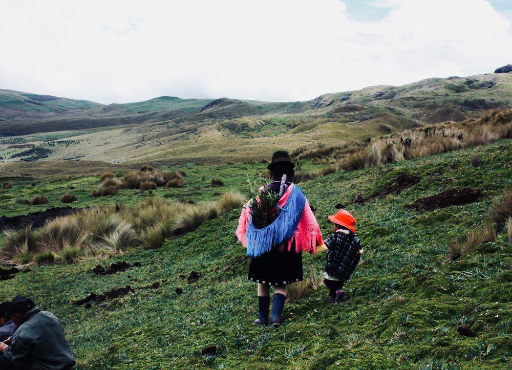 Galápagos Wildlife Expedition — Ecuador