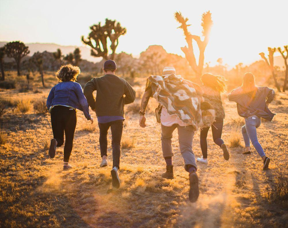Why More Travellers Are Choosing Small Group Tours Over Traditional Vacations in 2026