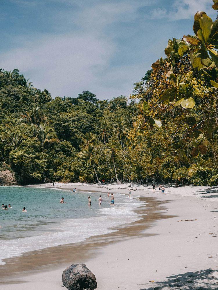 Costa Rica vs Bali: Which Wellness Retreat Is Right for You?