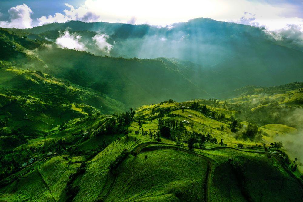 Nature