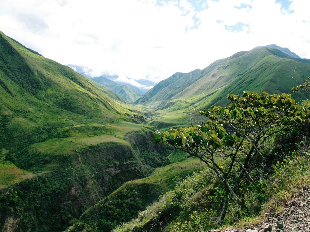 Nature