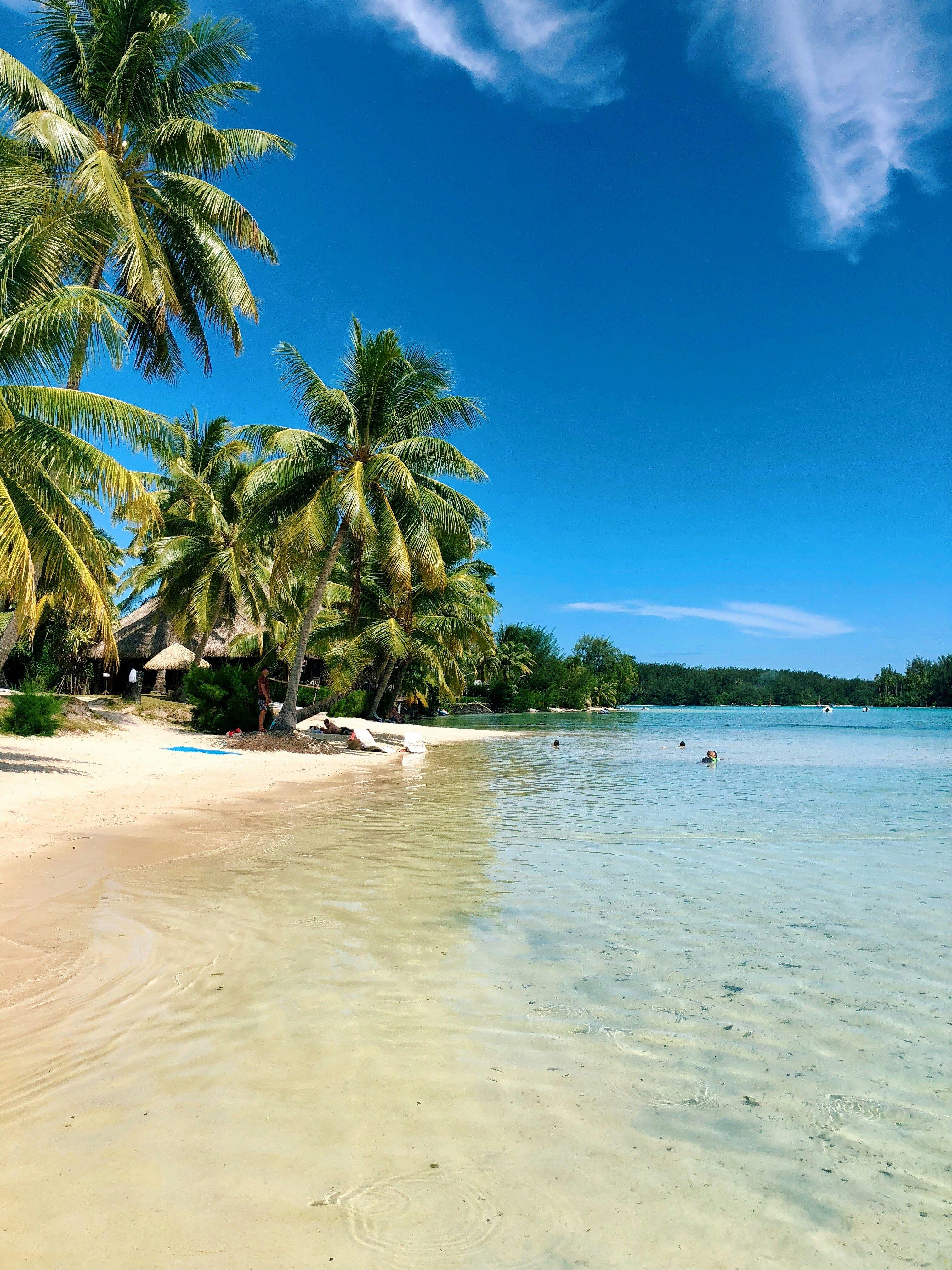 Surf Day One + Moorea Island Tour 1