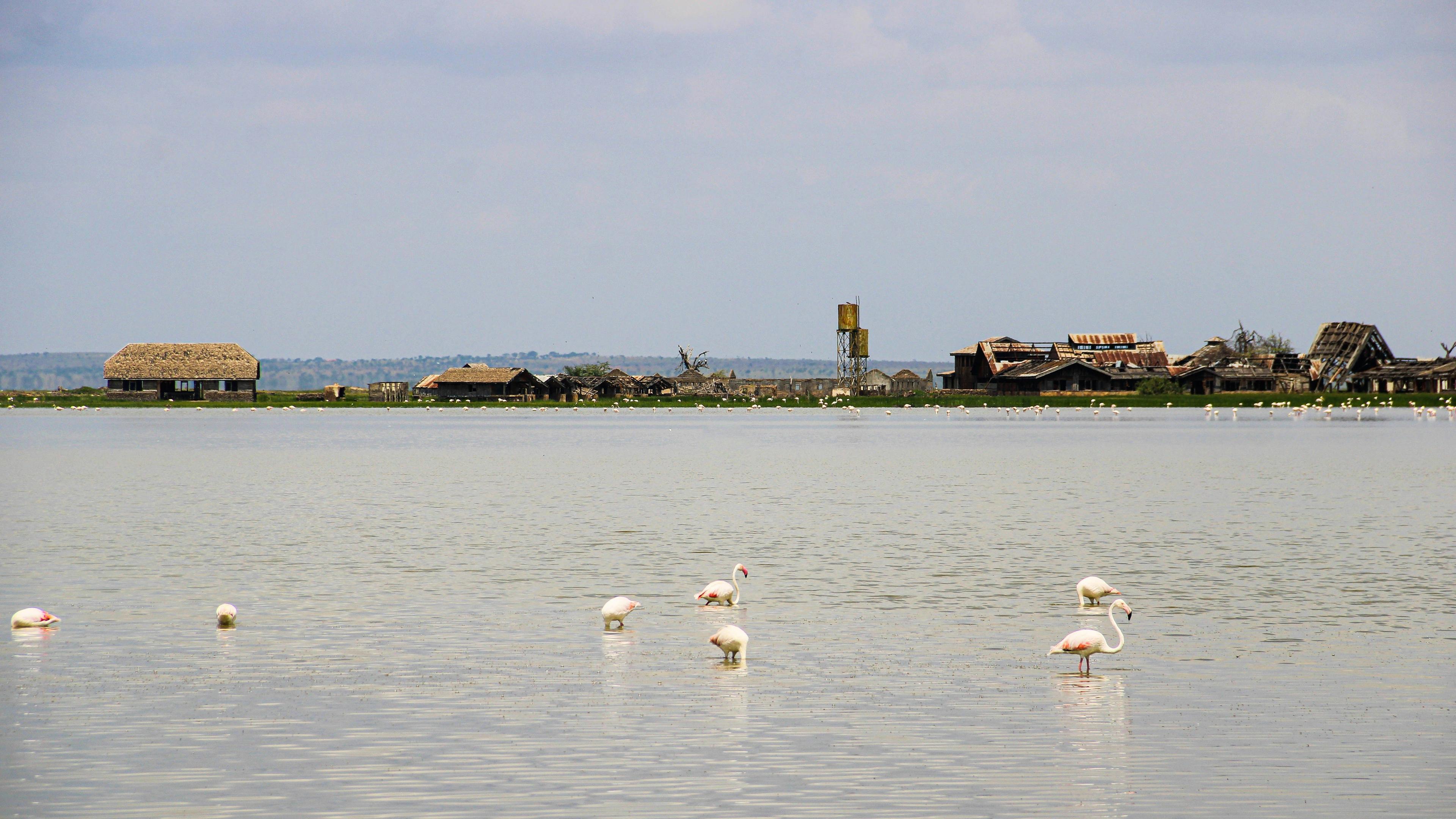 Lake Nakuru National Park