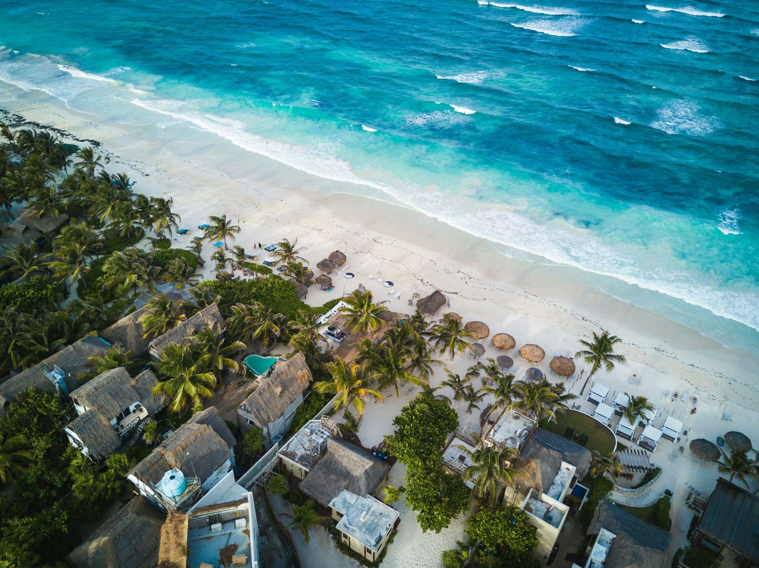 Free Day in Moorea + Farewell Dinner 1